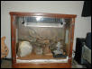 My New Enclosure