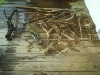 All the Driftwood