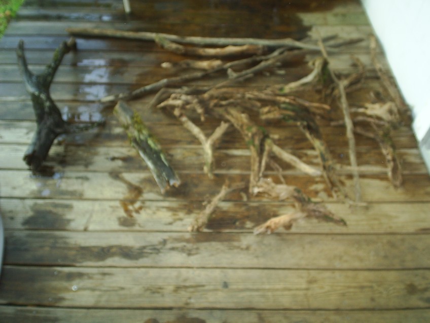All the Driftwood