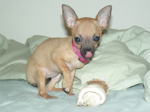 Yum!