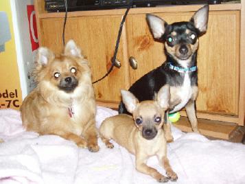 The clan