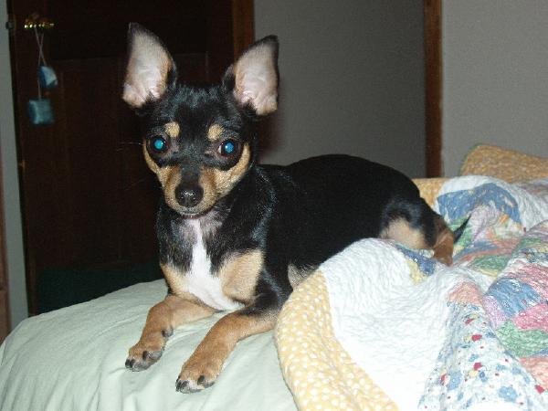 Tequila