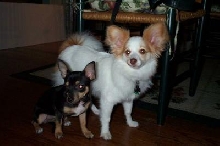 Tequila and Sammie
