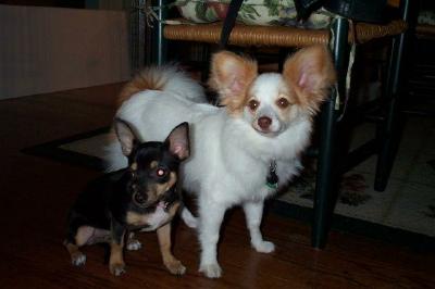 Tequila and Sammie