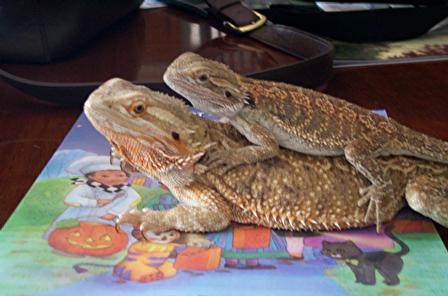 Second shot of Akira and Shinji