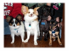 Tequila and the clan