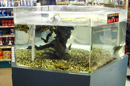 PetStoretank