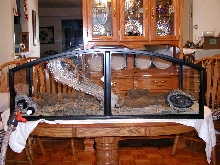 Bottom View