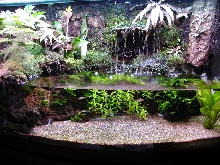 Lagoon