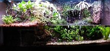 Completed Tank