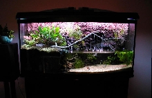Darkened View of Tank