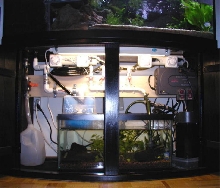 Sump and Filters