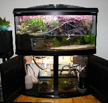 Tank and Sump