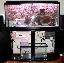 Overflow Drain