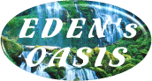 EO Oasis Banner