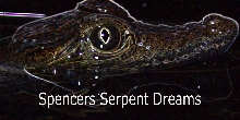 another logo