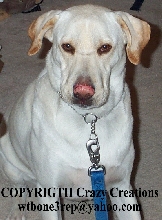 my "dawg"