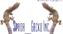 my logos