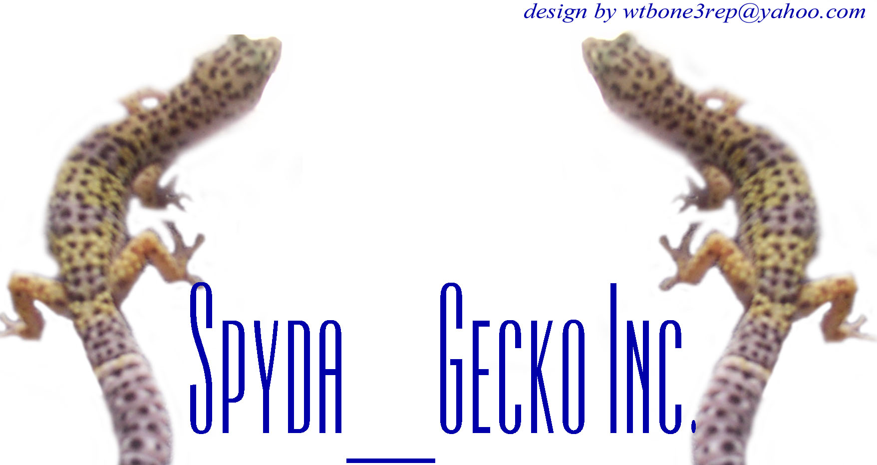my logos