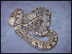 Ghost ball pythons