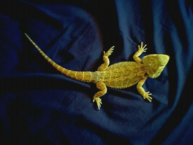 George