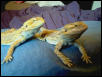 George and Frank