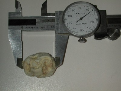 egg dried