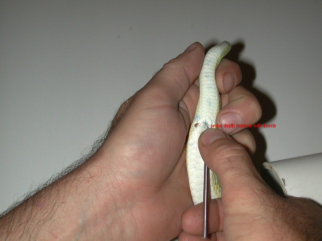 Probe marked