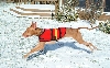 Diesel in the snow pt 2
