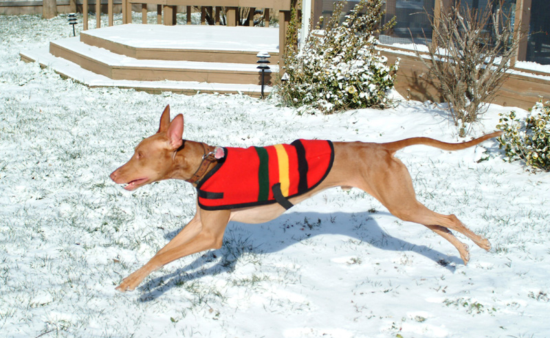 Diesel in the snow pt 2