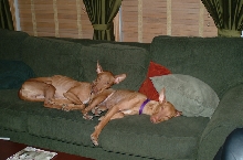 Best friends