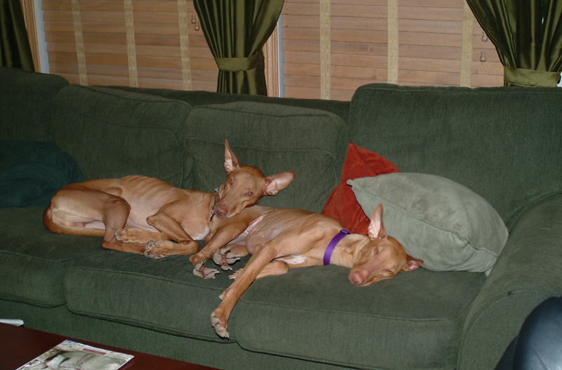 Best friends