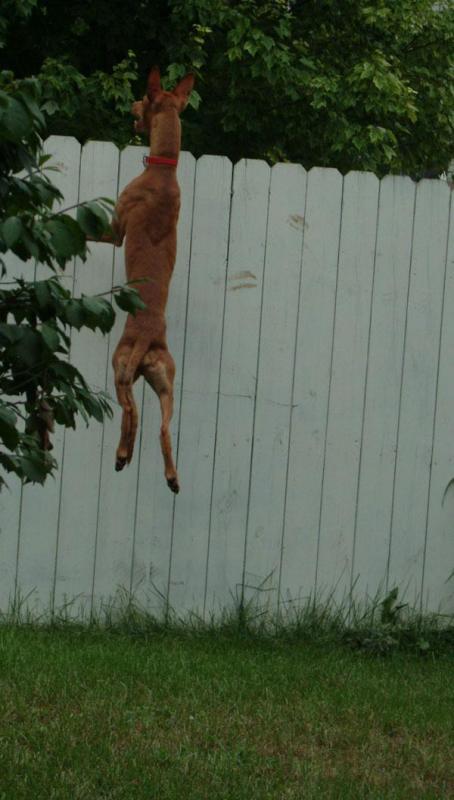 Are there birds over there?