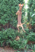 Bird hunting