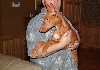 Peanut (the second)