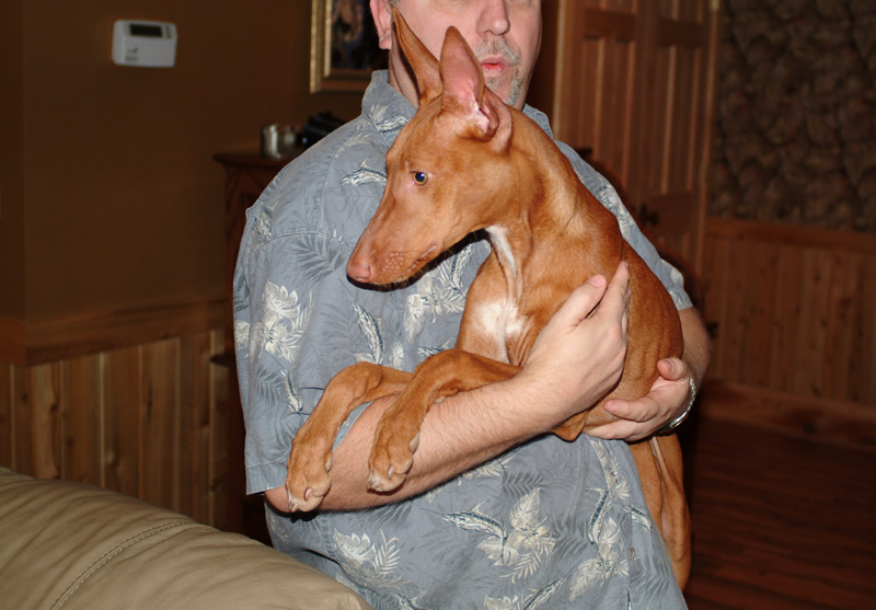 Peanut (the second)