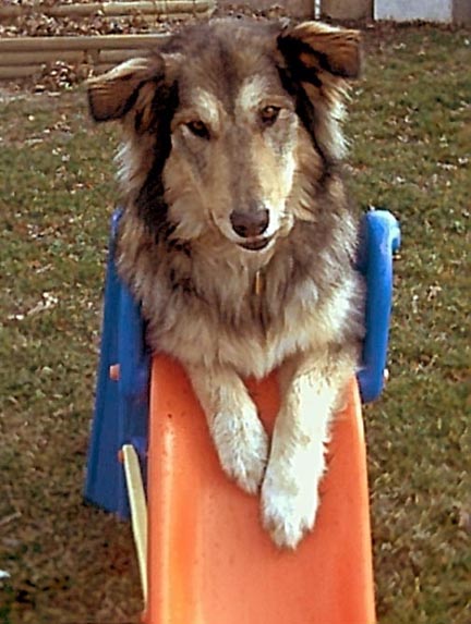 Timber on the Slide