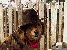 Timber the Cowgirl