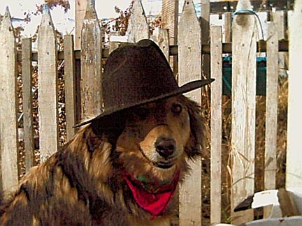 Timber the Cowgirl