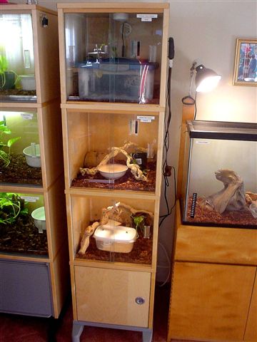 My small snake condo