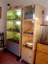 My snake condos