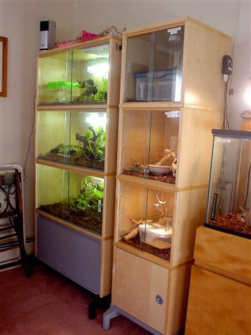 My snake condos