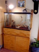 1st tank