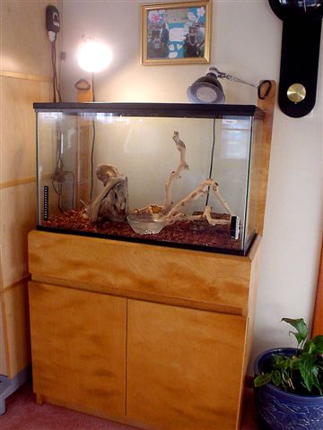 1st tank