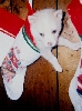 angel stocking