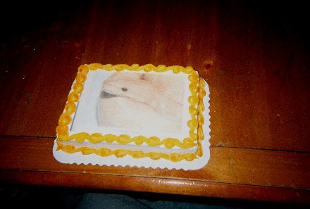 snake cake