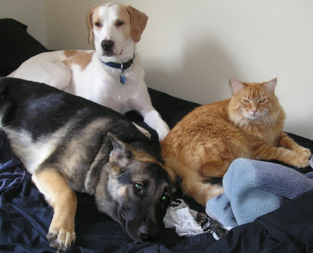 WE get the bed