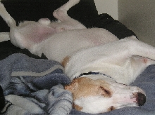 Soooo tired