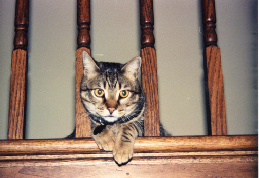 Precious Friend Tercy