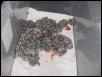 cleanedlitter